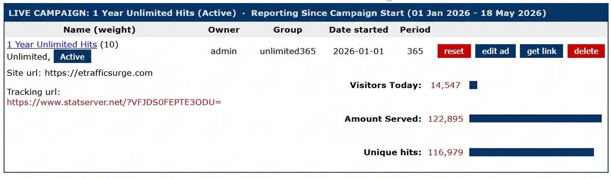 eTrafficSurge live campaign dashboard showing visitors today, amount served, unique hits, and the ranked partner site network